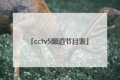 「cctv5频道节目表」cctv3节目回放