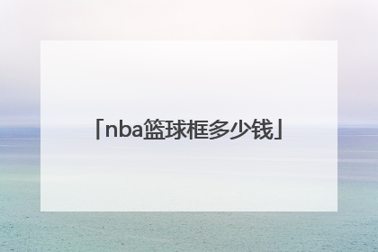 「nba篮球框多少钱」NBA专用篮球多少钱